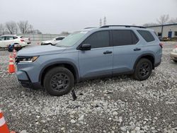 Salvage cars for sale at Barberton, OH auction: 2023 Honda Pilot Trailsport