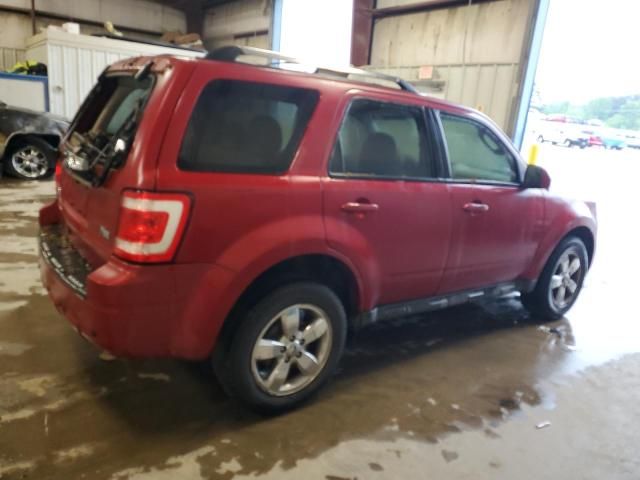 2010 Ford Escape Limited