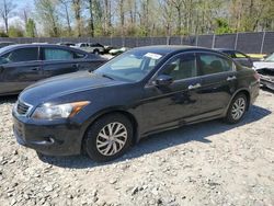 Honda Accord EXL salvage cars for sale: 2010 Honda Accord EXL