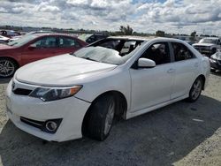 Salvage cars for sale at Antelope, CA auction: 2014 Toyota Camry L