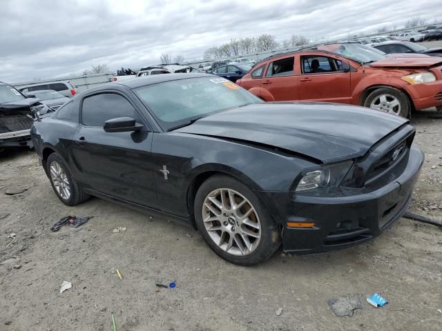 2013 Ford Mustang