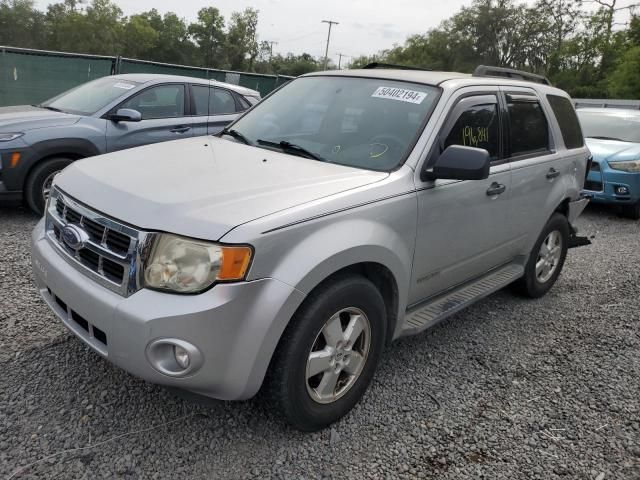 2008 Ford Escape XLT