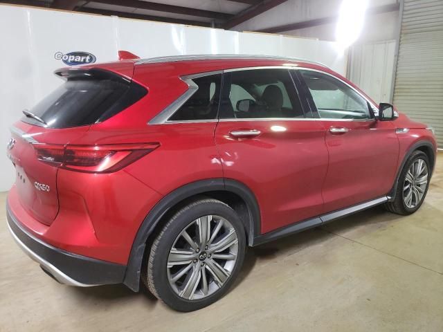 2022 Infiniti QX50 Sensory