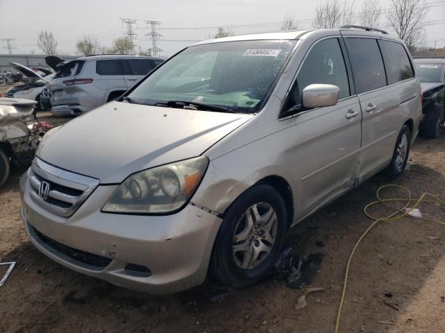 2006 Honda Odyssey EXL