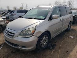 Salvage cars for sale from Copart Elgin, IL: 2006 Honda Odyssey EXL