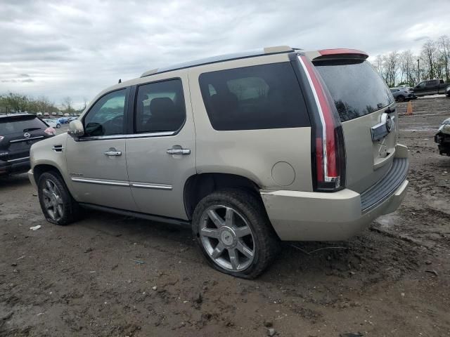 2008 Cadillac Escalade Luxury