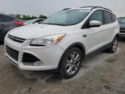 Hail Damaged Cars for sale at auction: 2013 Ford Escape SEL