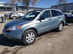 Salvage cars for sale at Albuquerque, NM auction: 2011 Honda CR-V SE