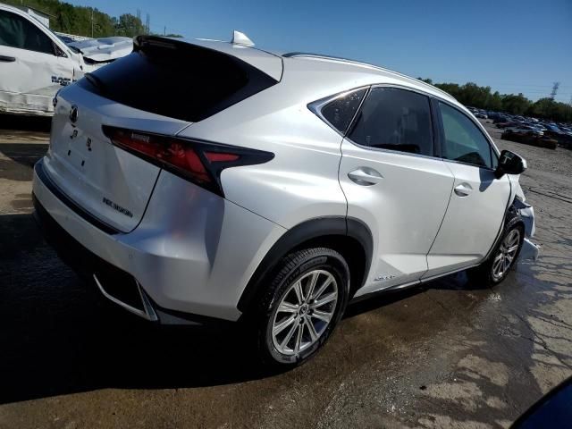 2020 Lexus NX 300H