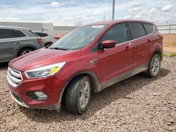 Salvage cars for sale from Copart Phoenix, AZ: 2019 Ford Escape SE