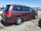 2010 Honda Odyssey EXL