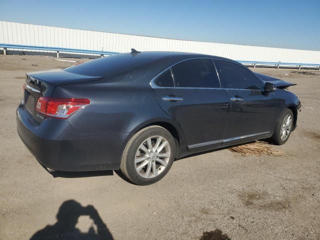 2010 Lexus ES 350