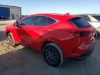 2024 Lexus NX 350 Luxury