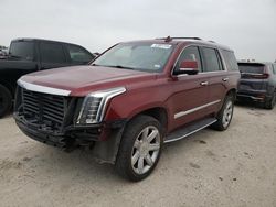Salvage cars for sale from Copart San Antonio, TX: 2017 Cadillac Escalade