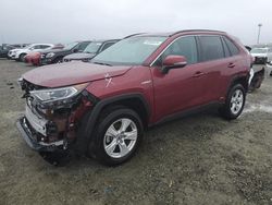 Toyota Rav4 XLE salvage cars for sale: 2020 Toyota Rav4 XLE