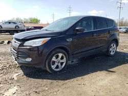 Ford salvage cars for sale: 2013 Ford Escape SE