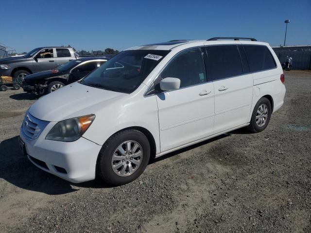 2010 Honda Odyssey EXL