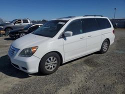 Honda salvage cars for sale: 2010 Honda Odyssey EXL