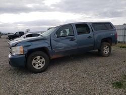 Salvage cars for sale at Anderson, CA auction: 2009 Chevrolet Silverado K1500 LT