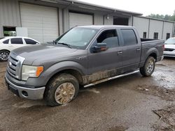 Salvage trucks for sale at Grenada, MS auction: 2009 Ford F150 Supercrew