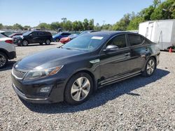 Salvage cars for sale at Riverview, FL auction: 2014 KIA Optima Hybrid