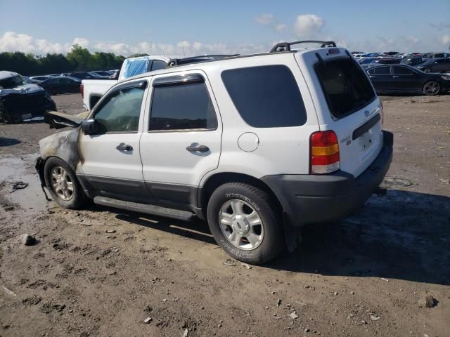 2004 Ford Escape XLT