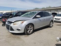 Ford Focus se salvage cars for sale: 2013 Ford Focus SE