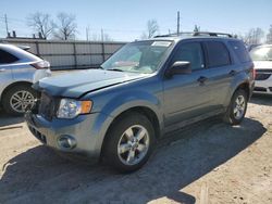 Salvage cars for sale at Lansing, MI auction: 2012 Ford Escape XLT