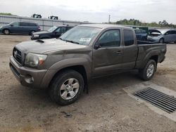 Salvage cars for sale from Copart Fredericksburg, VA: 2011 Toyota Tacoma Access Cab