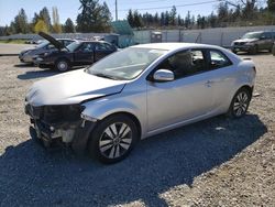 Salvage cars for sale from Copart Graham, WA: 2013 KIA Forte EX