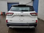 2020 Ford Escape S