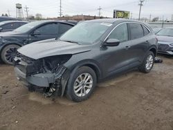 Salvage cars for sale from Copart Chicago Heights, IL: 2020 Ford Escape SE