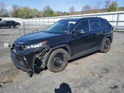 Salvage cars for sale at Grantville, PA auction: 2020 Toyota Rav4 LE
