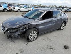 Honda Accord exl salvage cars for sale: 2014 Honda Accord EXL