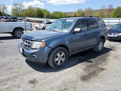 Salvage cars for sale from Copart Grantville, PA: 2010 Ford Escape XLT