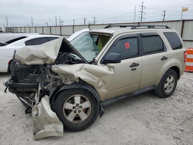 2010 Ford Escape XLT