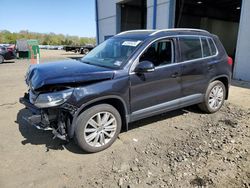 Salvage cars for sale at Windsor, NJ auction: 2013 Volkswagen Tiguan S