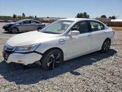 Salvage cars for sale at Mentone, CA auction: 2014 Honda Accord PLUG-IN Hybrid