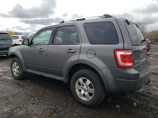 2011 Ford Escape Limited