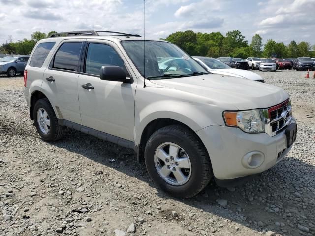 2009 Ford Escape XLT