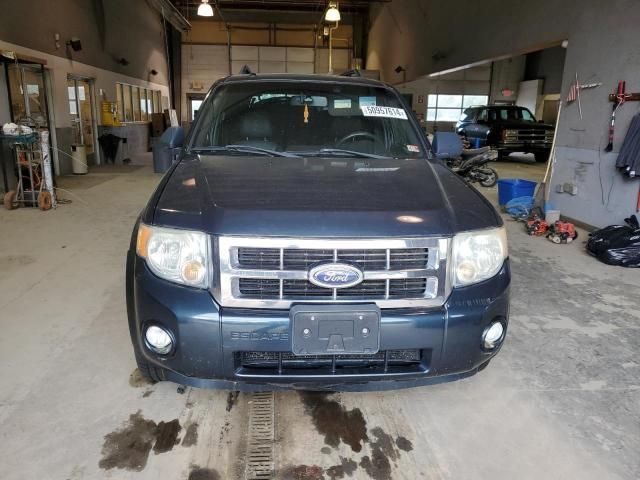 2008 Ford Escape XLT