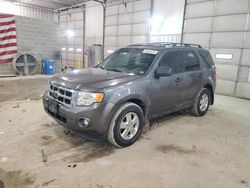 Ford Escape xlt salvage cars for sale: 2011 Ford Escape XLT