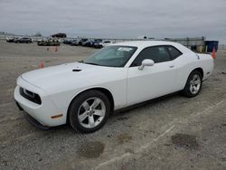 Salvage cars for sale from Copart Earlington, KY: 2013 Dodge Challenger SXT
