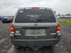 2004 Ford Escape XLS