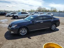 Salvage cars for sale from Copart London, ON: 2010 Lexus ES 350