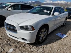 Salvage cars for sale at Magna, UT auction: 2014 Dodge Charger SE