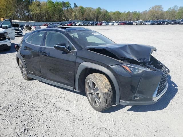 2020 Lexus UX 250H