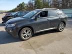 2013 Lexus RX 450