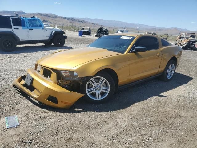 2010 Ford Mustang