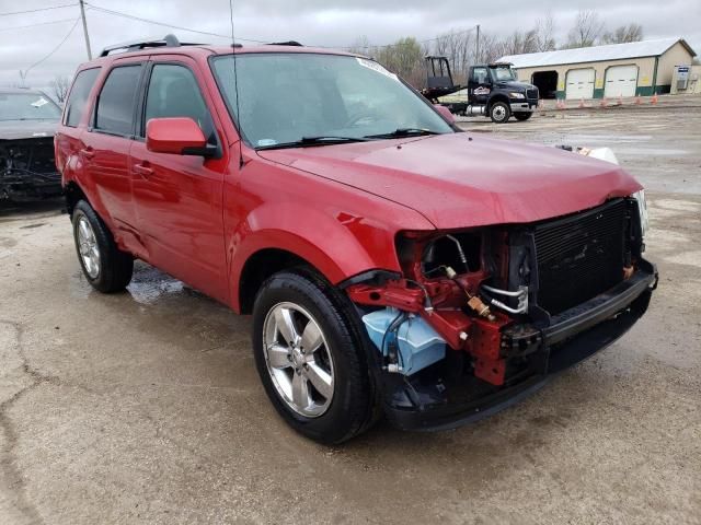 2009 Ford Escape Limited